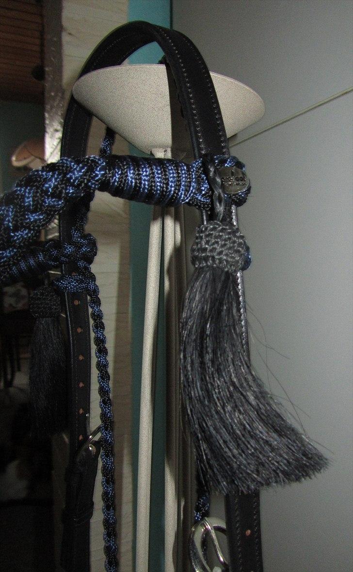 Mit nye hovedtøj uden hest. Barefoot Amber "Sidepull" billede 7