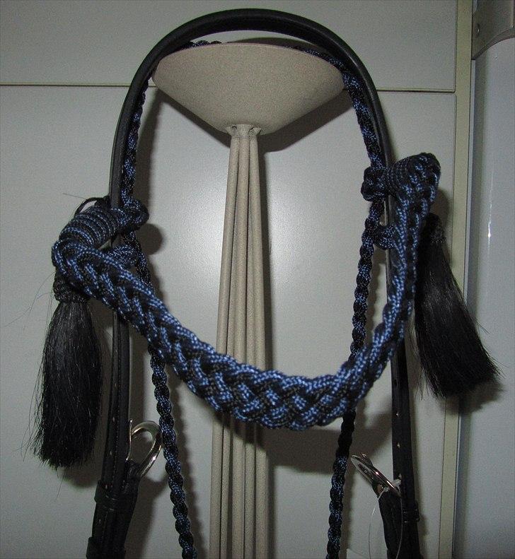 Mit nye hovedtøj uden hest. Barefoot Amber "Sidepull" billede 9