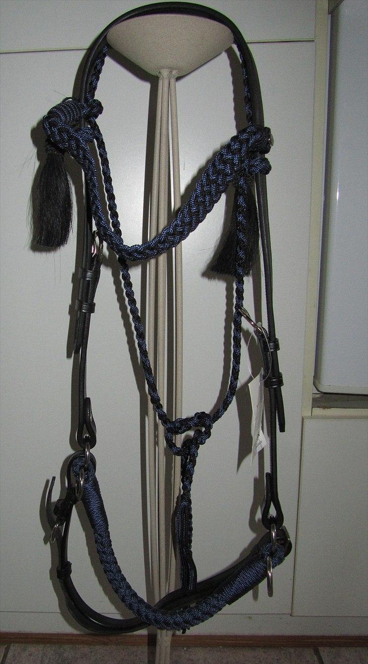 Mit nye hovedtøj uden hest. Barefoot Amber "Sidepull" billede 10