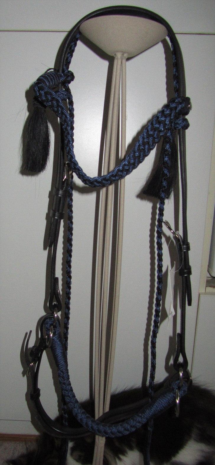 Mit nye hovedtøj uden hest. Barefoot Amber "Sidepull" billede 11