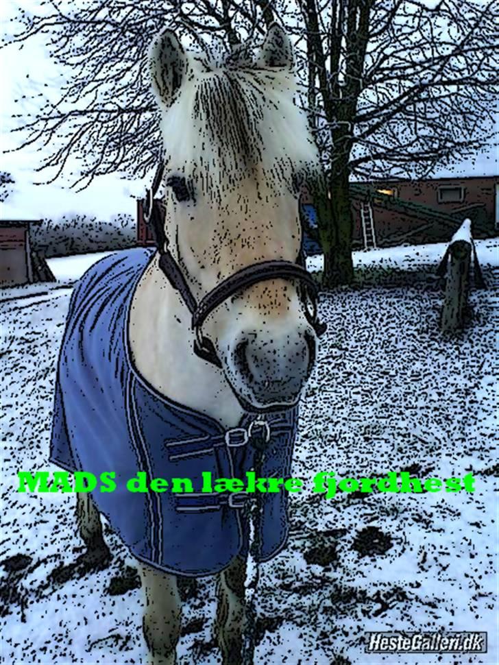 Tegnefilms figur til andre - Mads billede 153