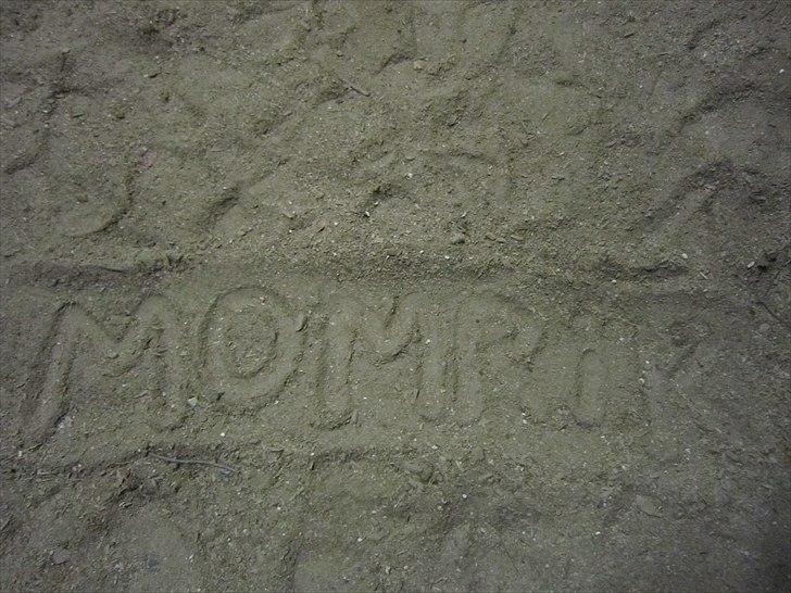 Seje ting!:D - Kedsomhed i ridehuset :P billede 41