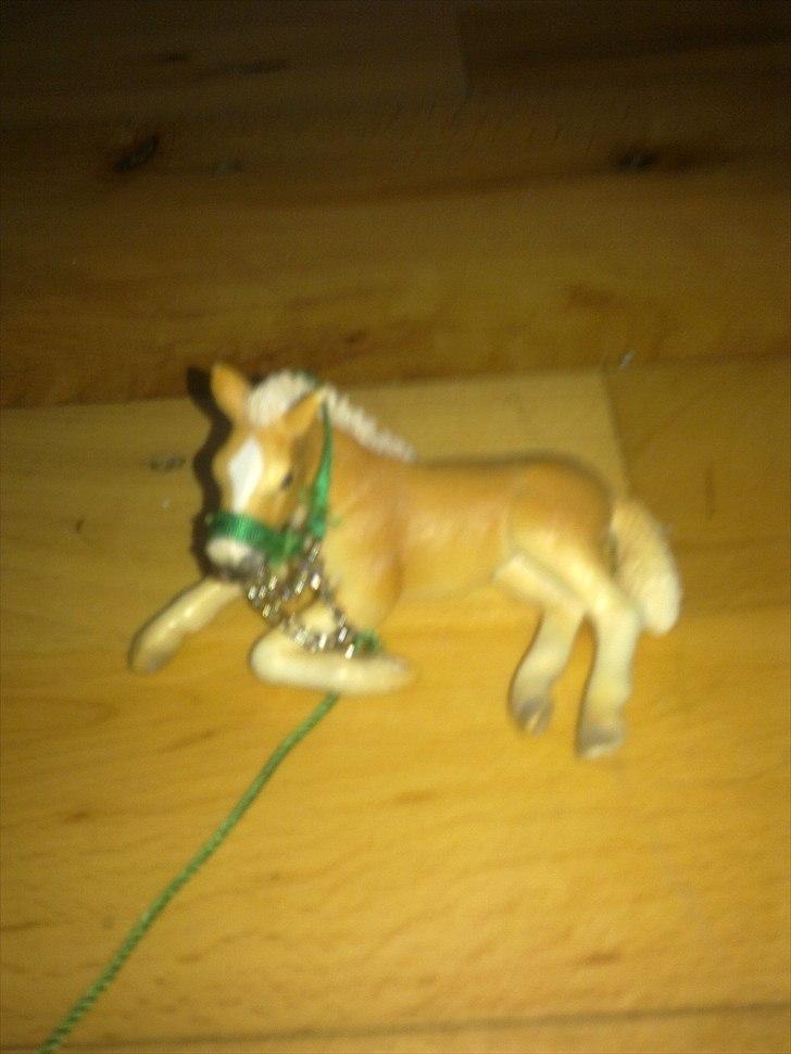 Mine schleich - Palomino navn:gold alder:2 køn: hoppe billede 9