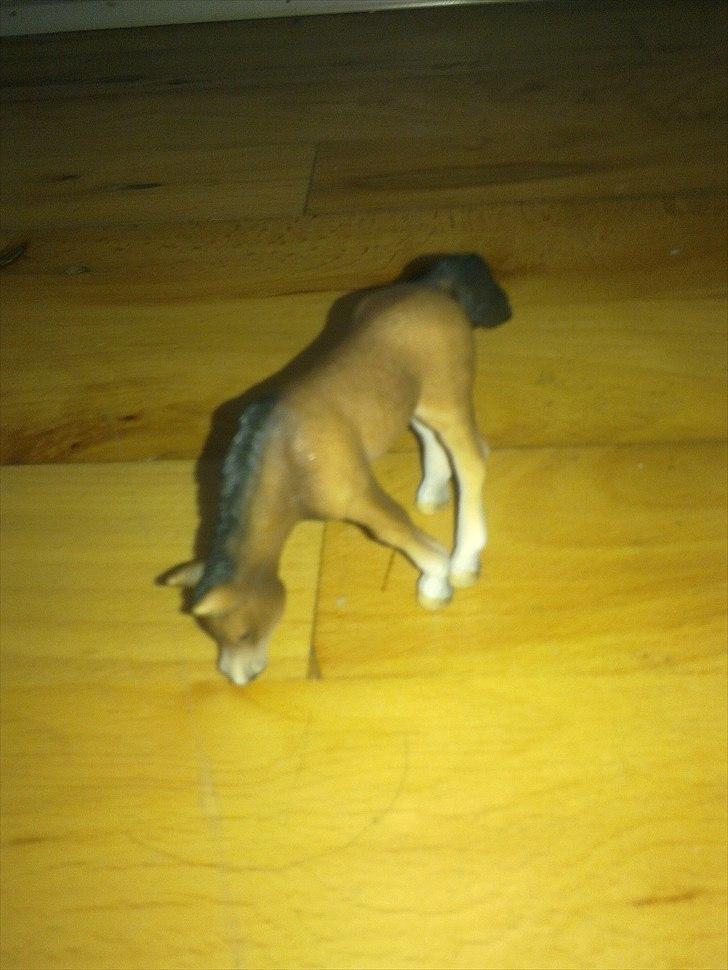 Mine schleich - Araber navn: star alder:2 køn: hoppe billede 10