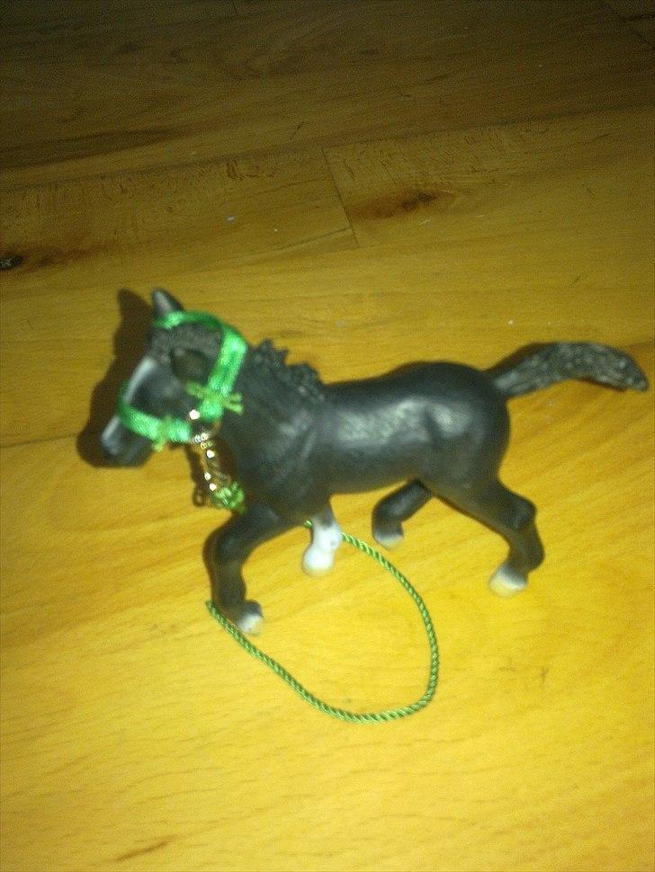Mine schleich - Blanding navn:black beuaty alder 2 køn: hoppe billede 11
