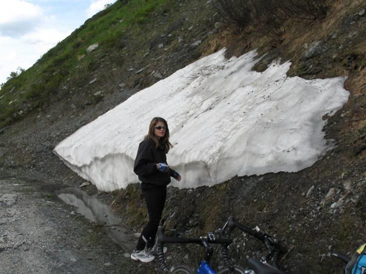 På cykel til Italtien, 2007 - 8D billede 34