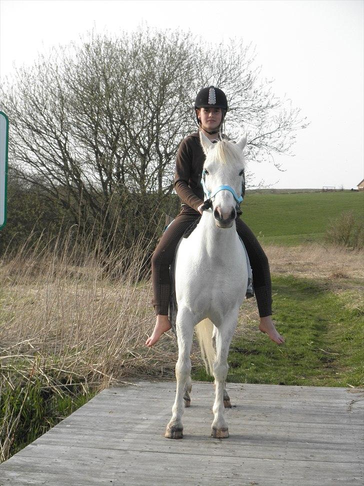 Ude og bade med Whisser og Avance :D billede 1