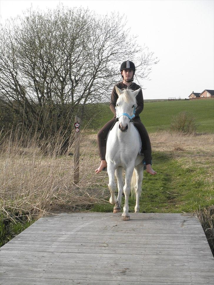 Ude og bade med Whisser og Avance :D billede 2