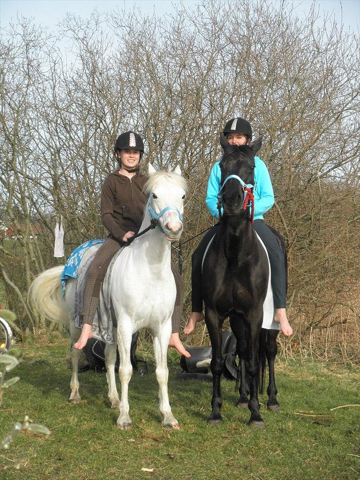 Ude og bade med Whisser og Avance :D billede 3