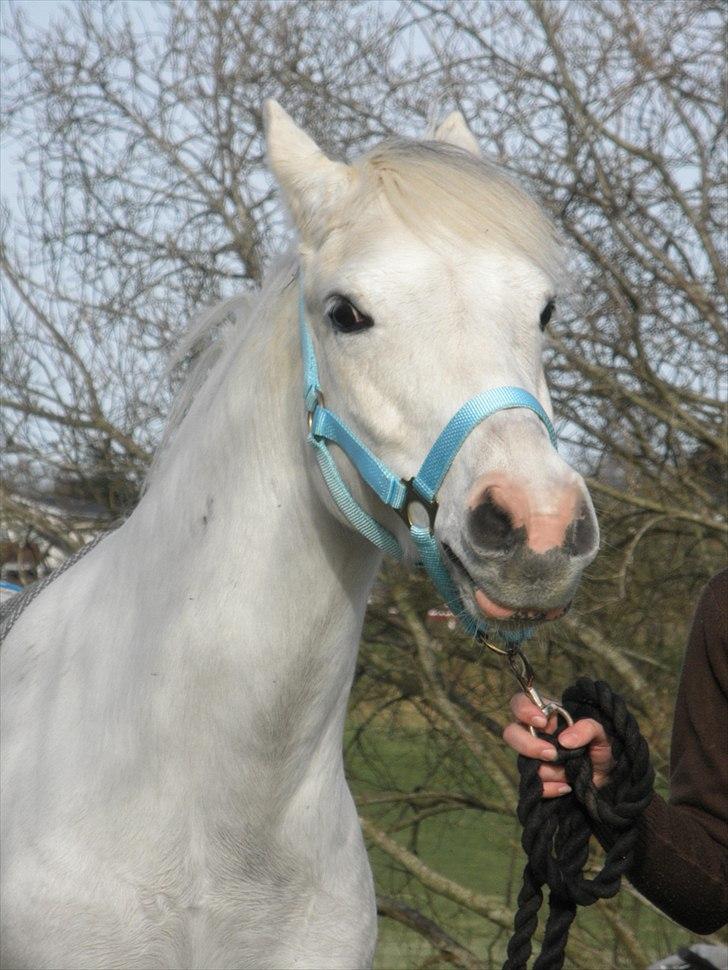 Ude og bade med Whisser og Avance :D billede 5