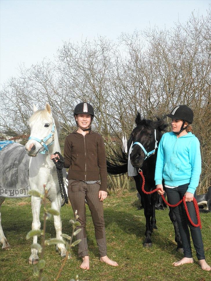 Ude og bade med Whisser og Avance :D billede 6