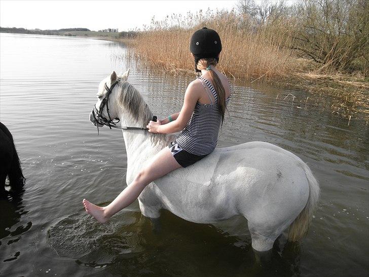 Ude og bade med Whisser og Avance :D billede 7