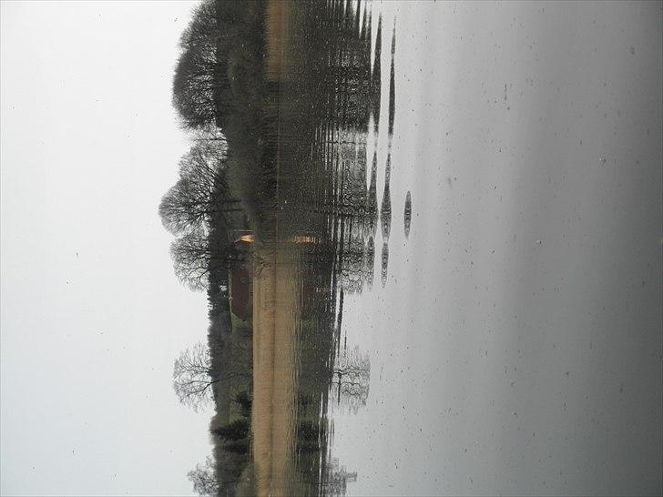 Ude og bade med Whisser og Avance :D billede 10