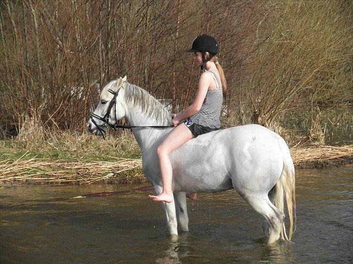 Ude og bade med Whisser og Avance :D billede 11