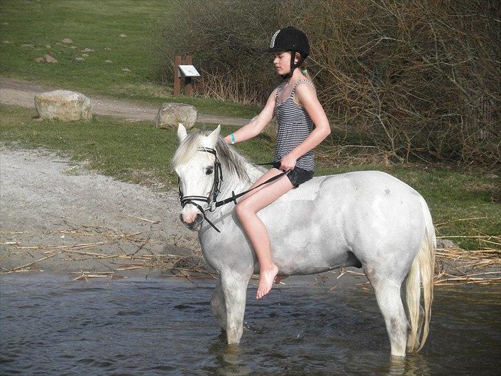 Ude og bade med Whisser og Avance :D billede 12