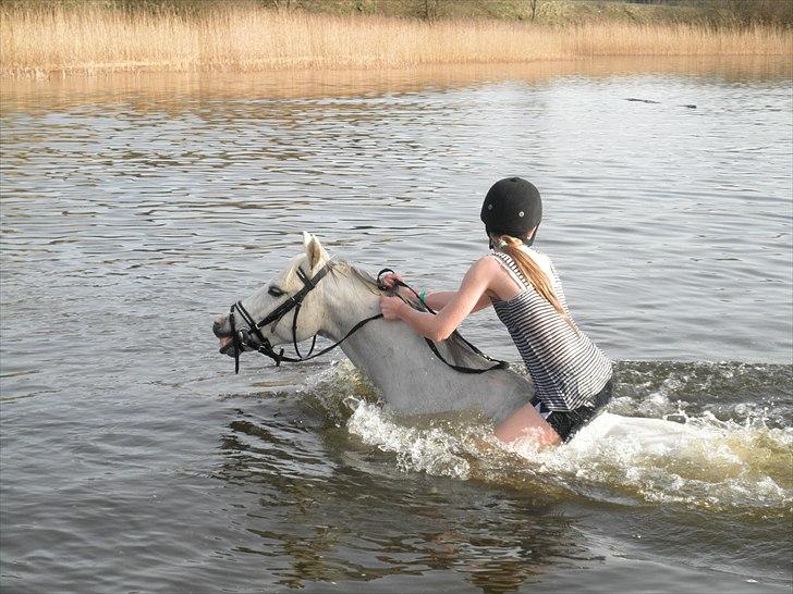 Ude og bade med Whisser og Avance :D billede 13