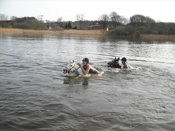 Ude og bade med Whisser og Avance :D billede 14
