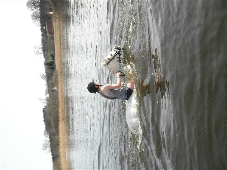 Ude og bade med Whisser og Avance :D billede 15