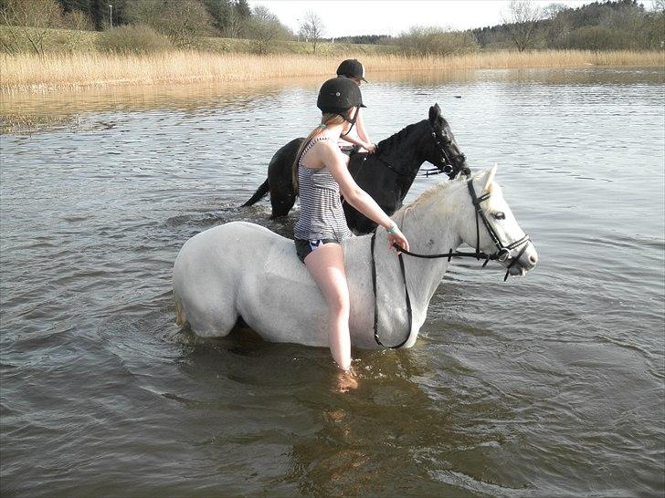 Ude og bade med Whisser og Avance :D billede 16