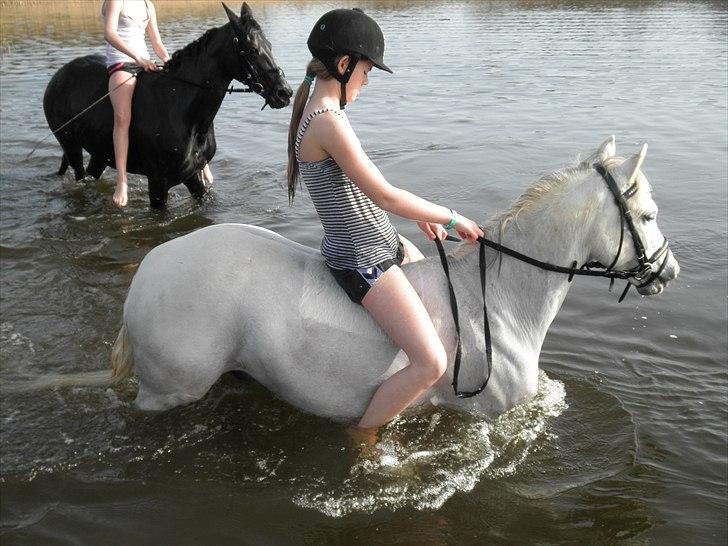 Ude og bade med Whisser og Avance :D billede 17