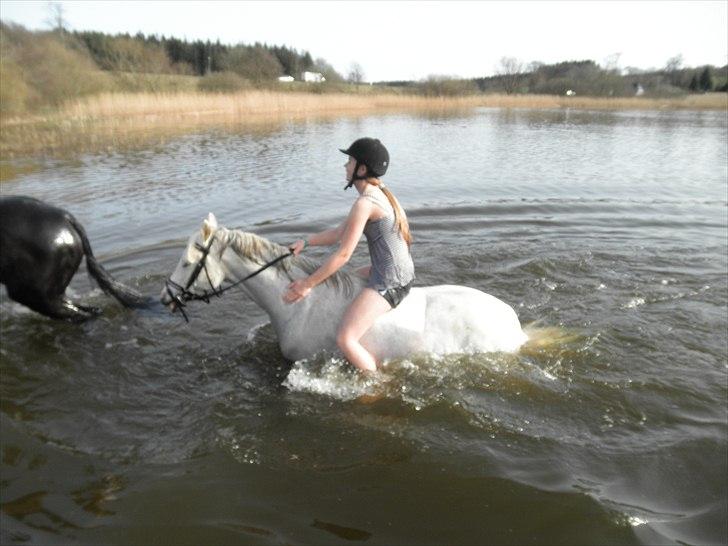 Ude og bade med Whisser og Avance :D billede 18