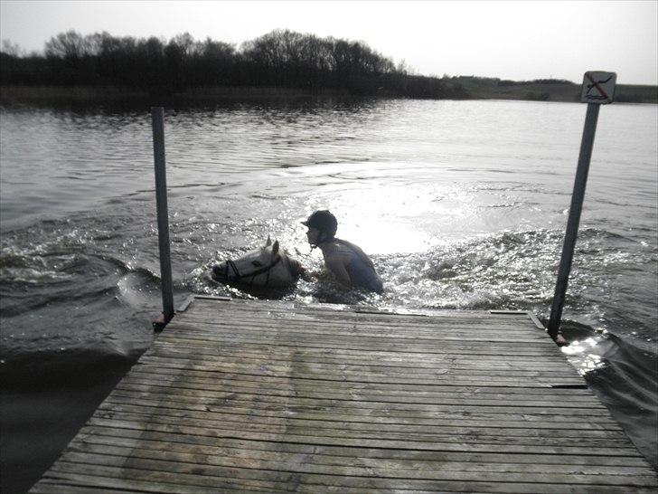 Ude og bade med Whisser og Avance :D billede 19