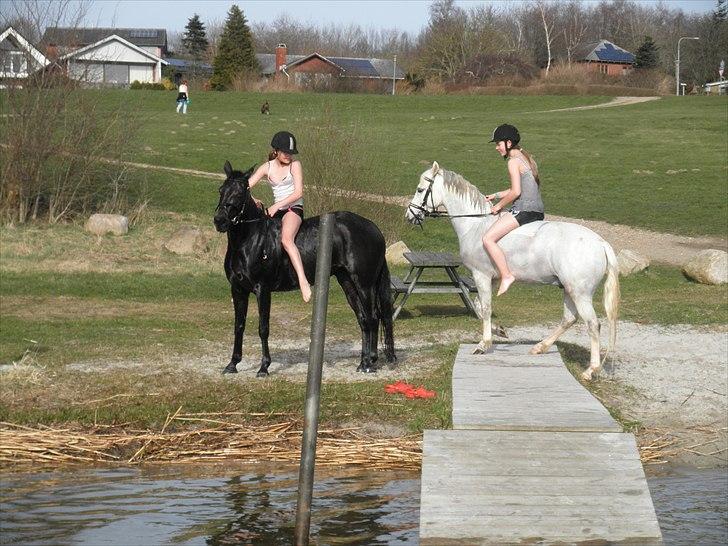 Ude og bade med Whisser og Avance :D billede 20