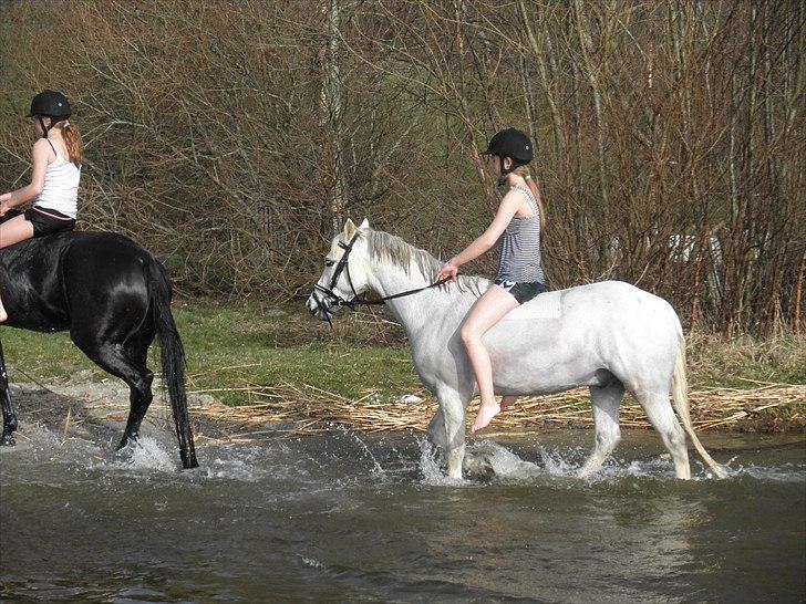 Ude og bade med Whisser og Avance :D billede 21