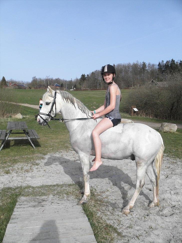 Ude og bade med Whisser og Avance :D billede 23