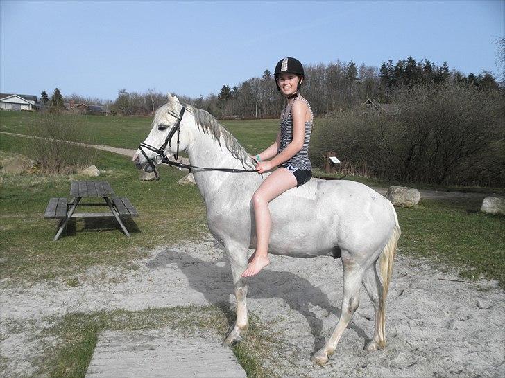 Ude og bade med Whisser og Avance :D billede 24