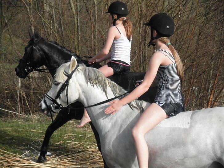 Ude og bade med Whisser og Avance :D billede 25