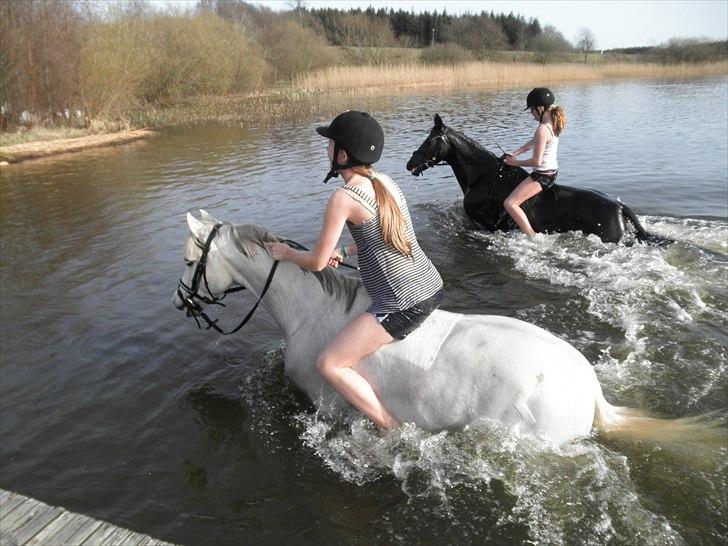 Ude og bade med Whisser og Avance :D billede 26