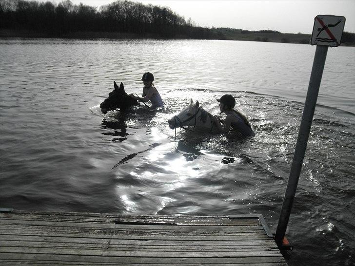 Ude og bade med Whisser og Avance :D billede 27