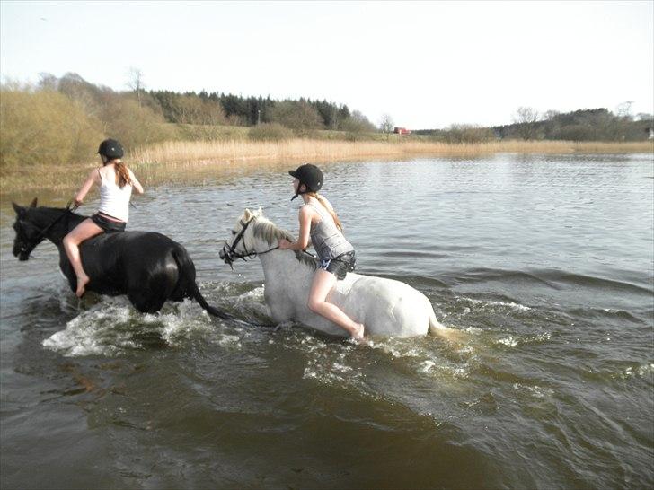 Ude og bade med Whisser og Avance :D billede 28