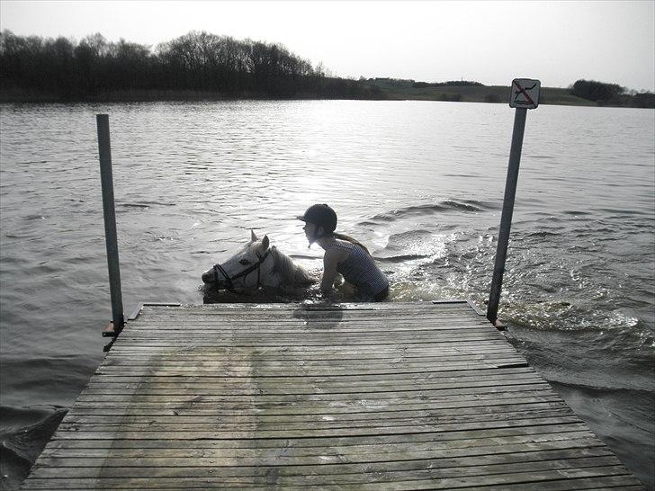 Ude og bade med Whisser og Avance :D billede 29
