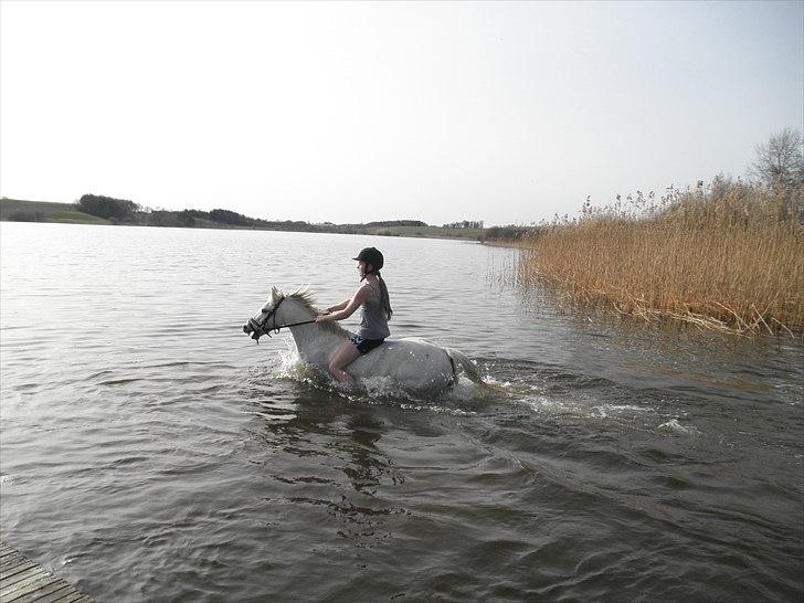 Ude og bade med Whisser og Avance :D billede 30