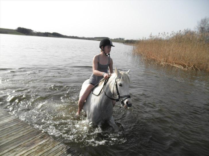 Ude og bade med Whisser og Avance :D billede 31