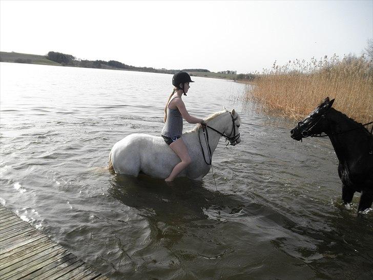 Ude og bade med Whisser og Avance :D billede 32