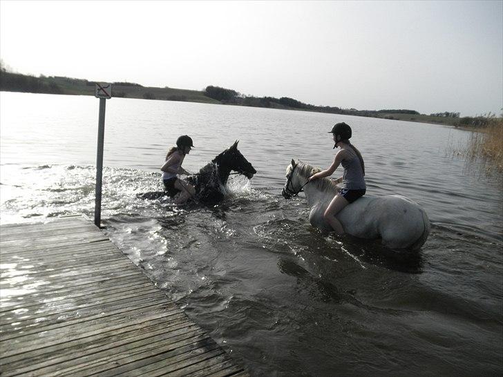 Ude og bade med Whisser og Avance :D billede 33