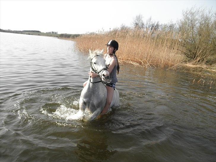 Ude og bade med Whisser og Avance :D billede 34