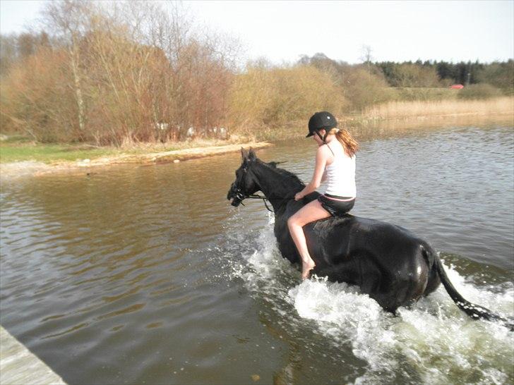 Ude og bade med Whisser og Avance :D billede 35