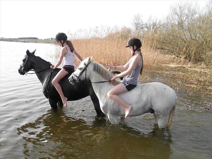 Ude og bade med Whisser og Avance :D billede 37