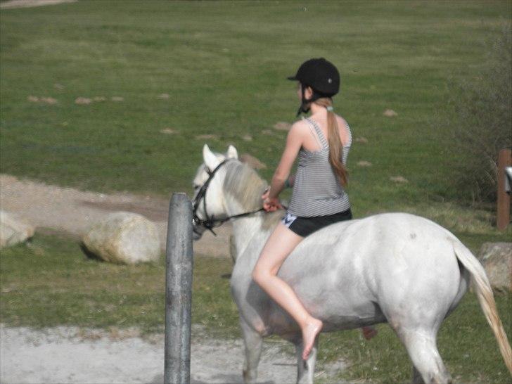 Ude og bade med Whisser og Avance :D billede 38