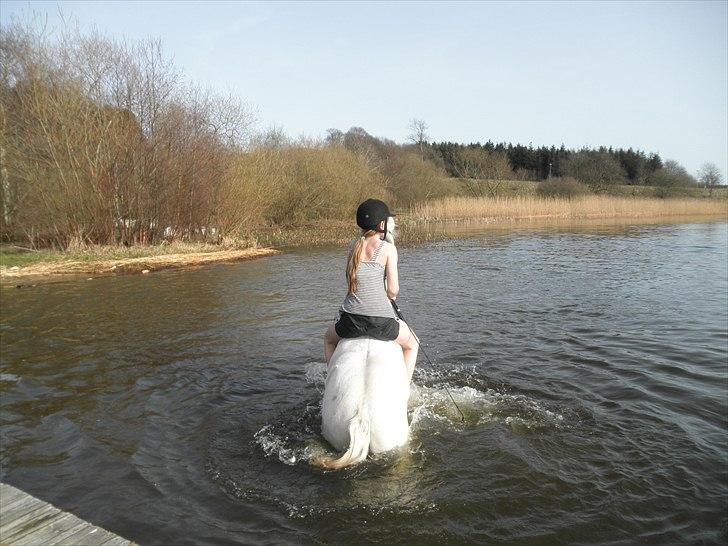 Ude og bade med Whisser og Avance :D billede 39