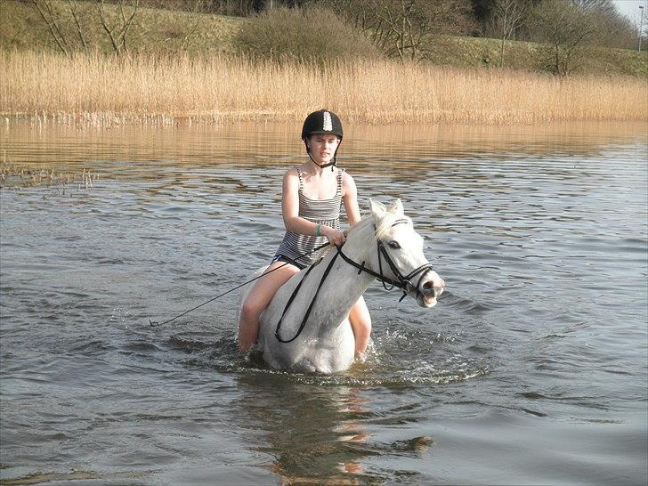 Ude og bade med Whisser og Avance :D billede 40