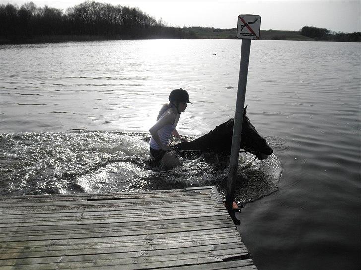 Ude og bade med Whisser og Avance :D billede 41