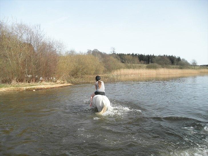 Ude og bade med Whisser og Avance :D billede 42