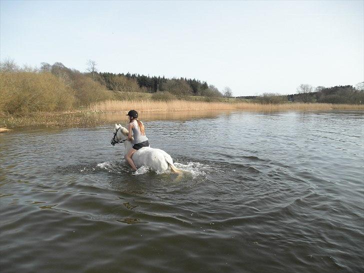 Ude og bade med Whisser og Avance :D billede 44