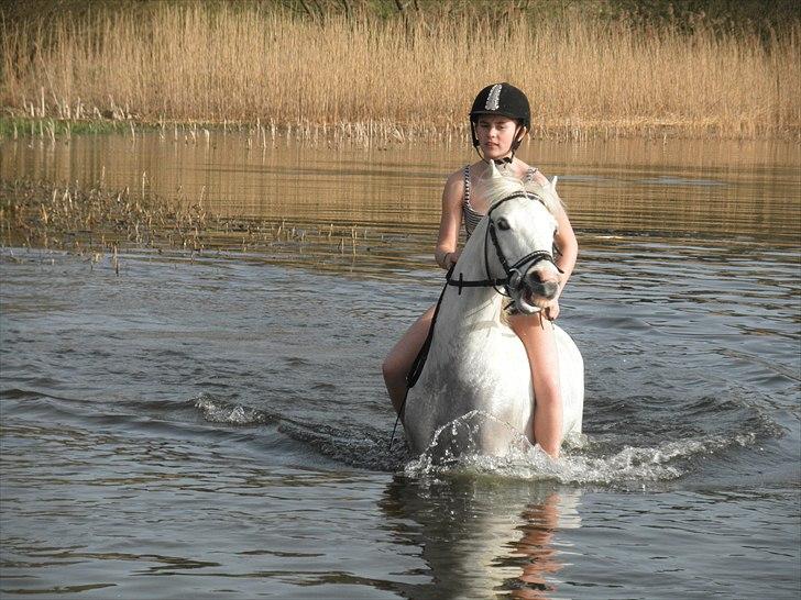 Ude og bade med Whisser og Avance :D billede 45