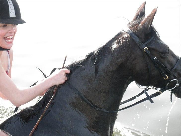 Ude og bade med Whisser og Avance :D billede 46